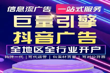 抖音信息流代理在电商行业的应用案例分析